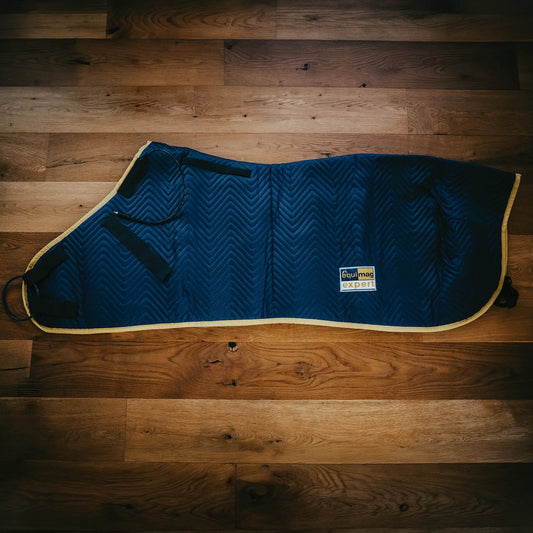 Magnetfelddecke equimag expert
