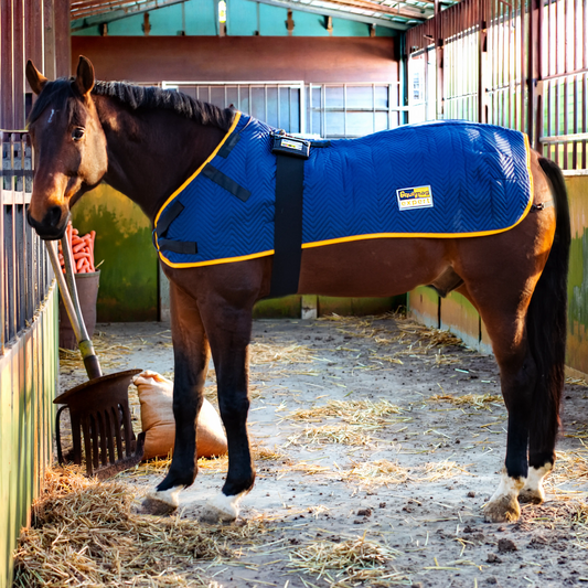 Magnetfelddecke equimag balance auf einem Pferd in der Stallgasse